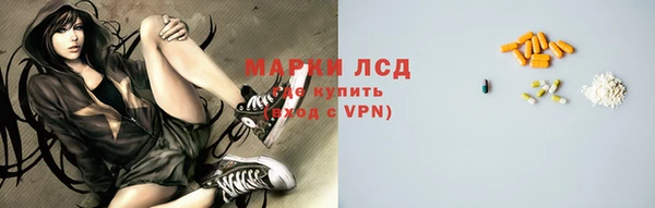 стафф Алзамай