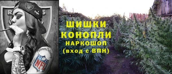 стафф Алзамай