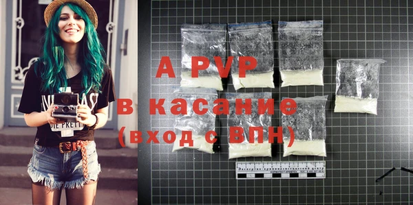 стафф Алзамай