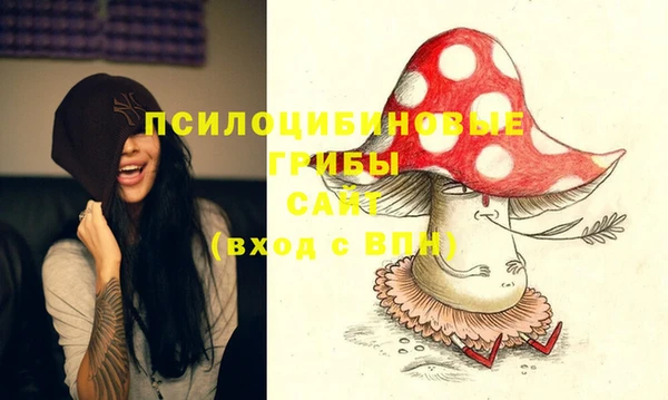 стафф Алзамай