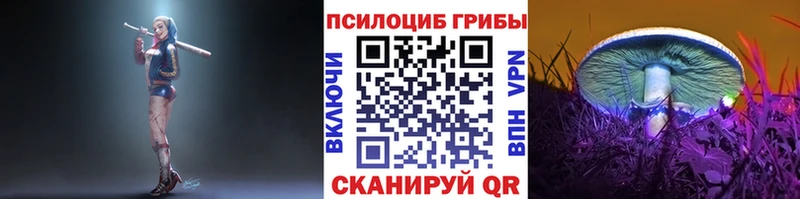 Псилоцибиновые грибы мицелий  где купить   Юрьев-Польский 