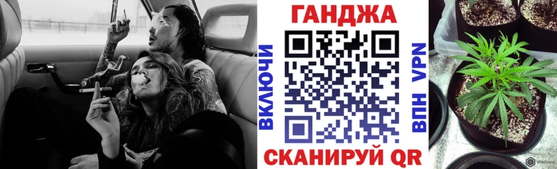 Бошки Шишки планчик  Юрьев-Польский 